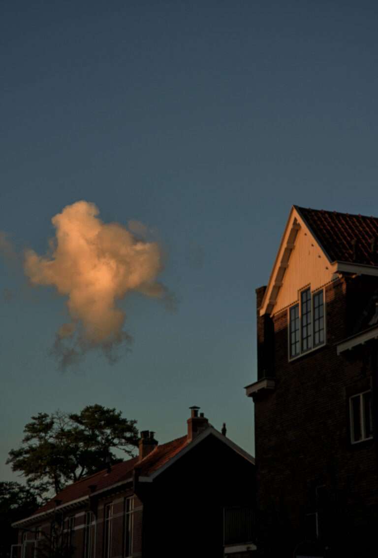 DSC_1030-2-31